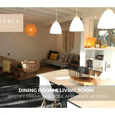 Wisteria Villers-l'Eveque