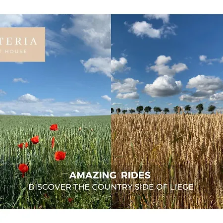 Ferienhaus Wisteria *