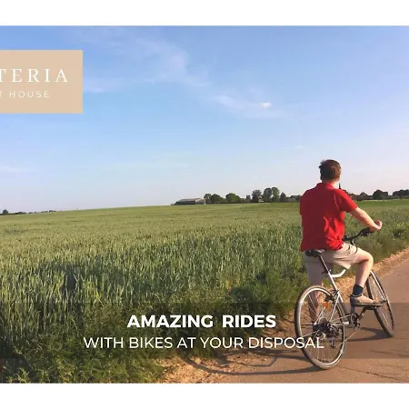 Wisteria Villers-l'Eveque