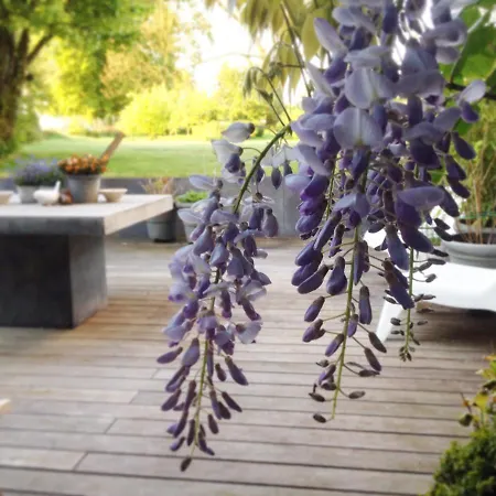 Wisteria Holiday home Villers-l'Eveque